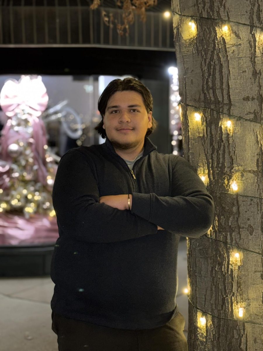 David Ordonez-Castillo: website editor